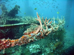 coron-wrecks-4