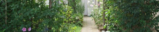 Za/zo 12/13 september: Open Huis en Introductie-workshop Flowering / Bloeien in de Bagger Entree tuin