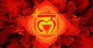 12/13 januari en 15/16 februari ‘De Passie om te Leven’, Flowering chakra 1A: chakra 1