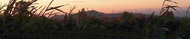 20-22 Sept.: Blissfully embodying Being, workshop Glastonbury met Yoyo Avalon